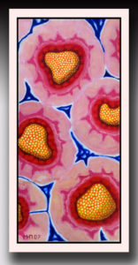 Colorful flowers by Bruno Huguet Perez