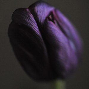 1 1