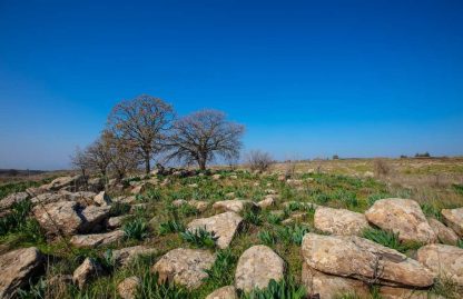 Golan Height - Photograph 010