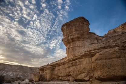 Judaean Desert - Photograph 009