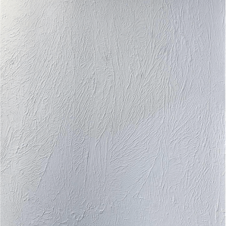 WHITE FOREST Eli Nachshon Zook Acrylic and oil on canvas 2025